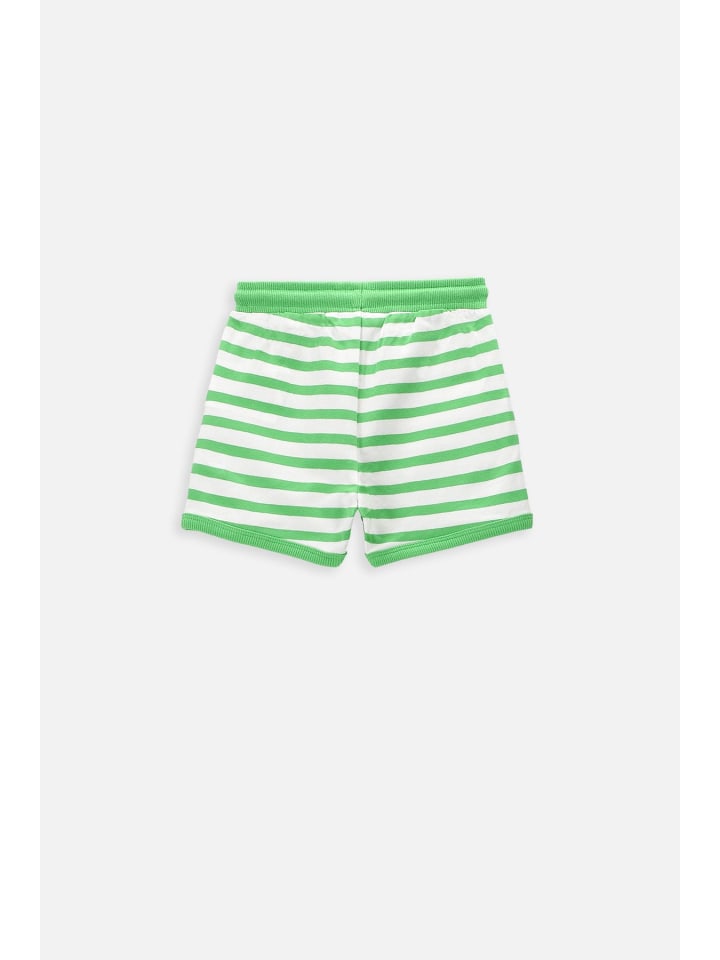 Coccodrillo Kurze Hose in bunt günstig kaufen