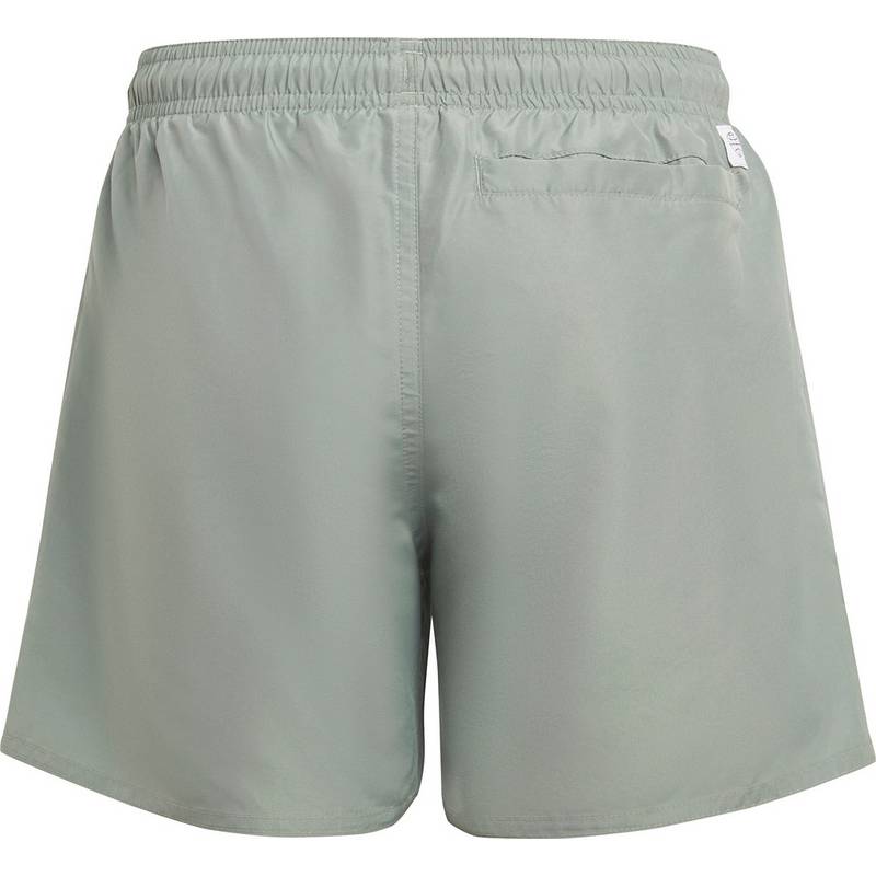 adidas BADGE OF SPORT PRIMEGREEN Badehose Jungen