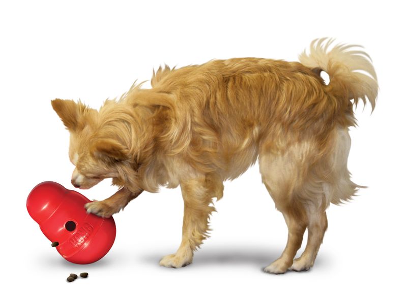 KONG Wobbler Snackball zu TOP-Preisen