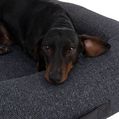Modern Living Hundebett Vienna