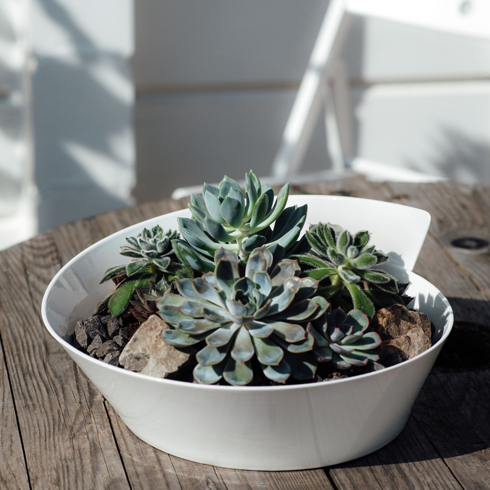 Villeroy & Boch Saladier / Soupière grande NewWave vaisselle