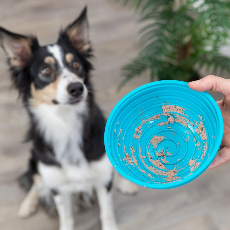 Trixie Lick'n'Snack Bowl zu TOP-Preisen
