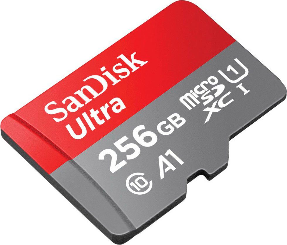 Sandisk Ultra microSDXC Speicherkarte (256 GB, Class 10)