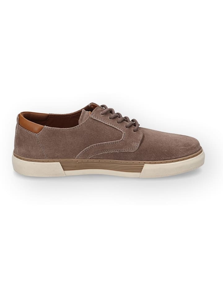 Camel Active Sneakers 