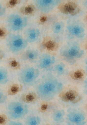 FRAAS Stola mit Aquarell-Blumen-Design in Seidenmischung