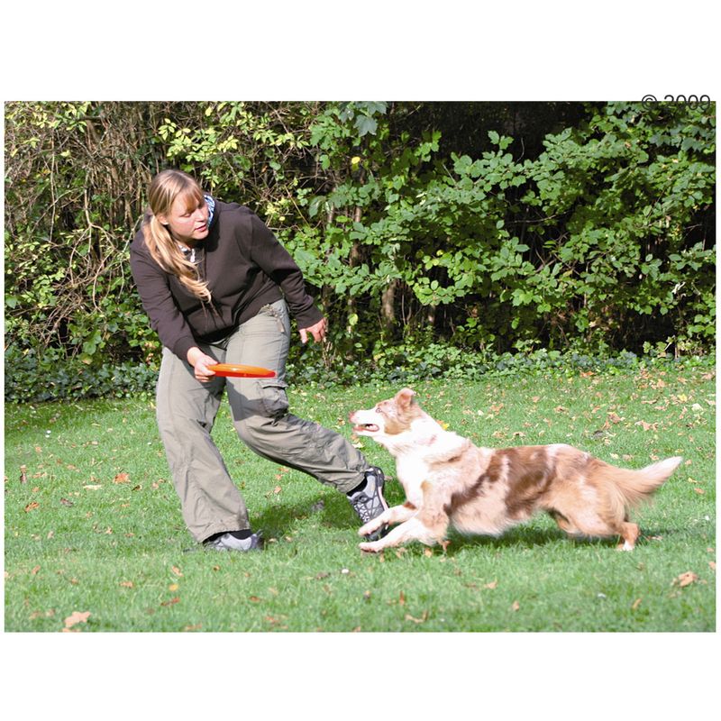 Trixie Dog Activity Disc zu TOP-Preisen