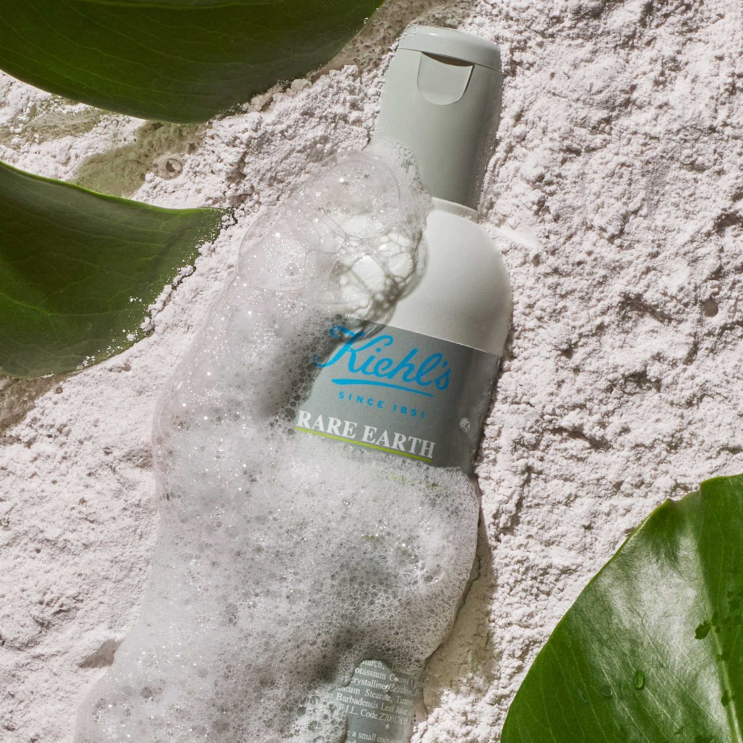Kiehl's Rare Earth