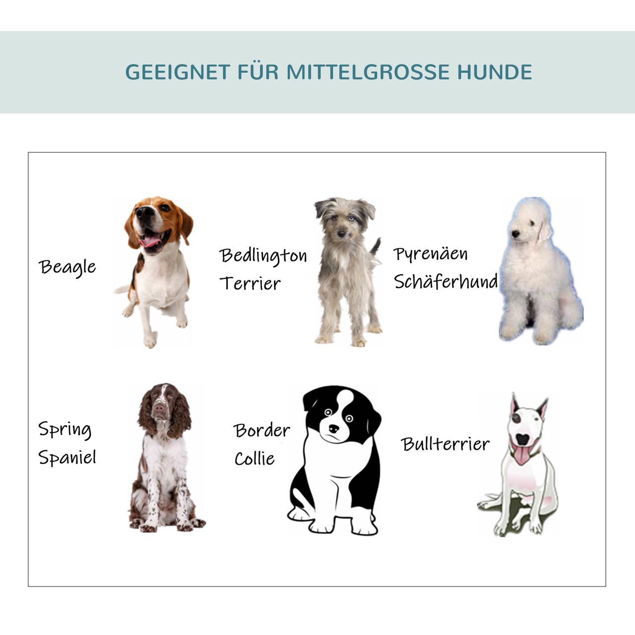 PawHut Hundebox faltbare Hundetransportbox Haustierrucksack 70 x 51 x 59 cm