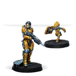 Infinity - Tai Sheng, Zúyong Invincibles NCO (Breaker Rifle) (EN)