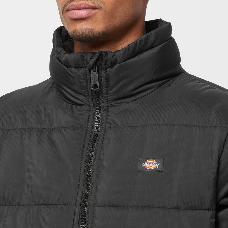 Dickies Waldenburg Black