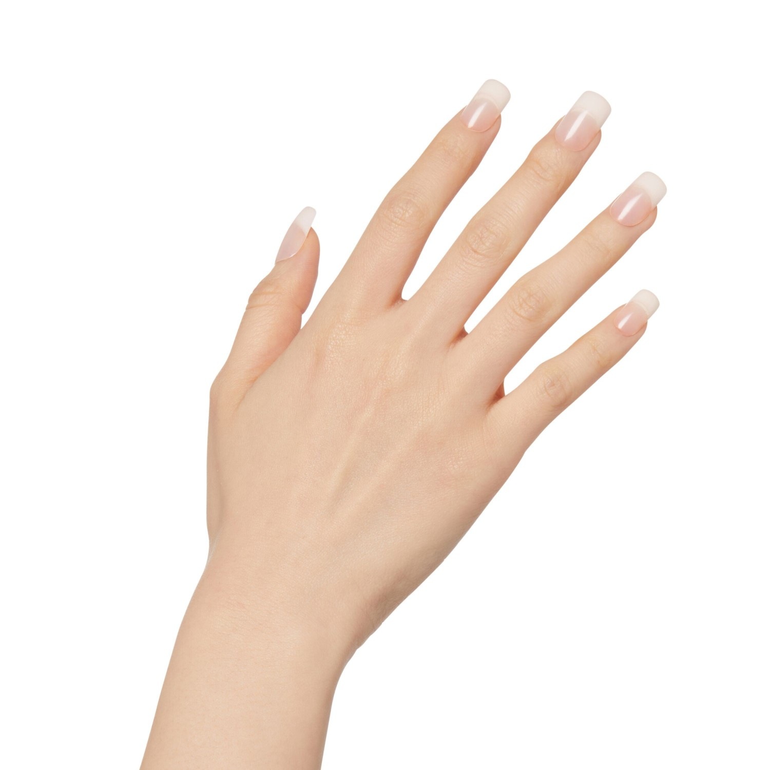 Salon Acrylic Nude