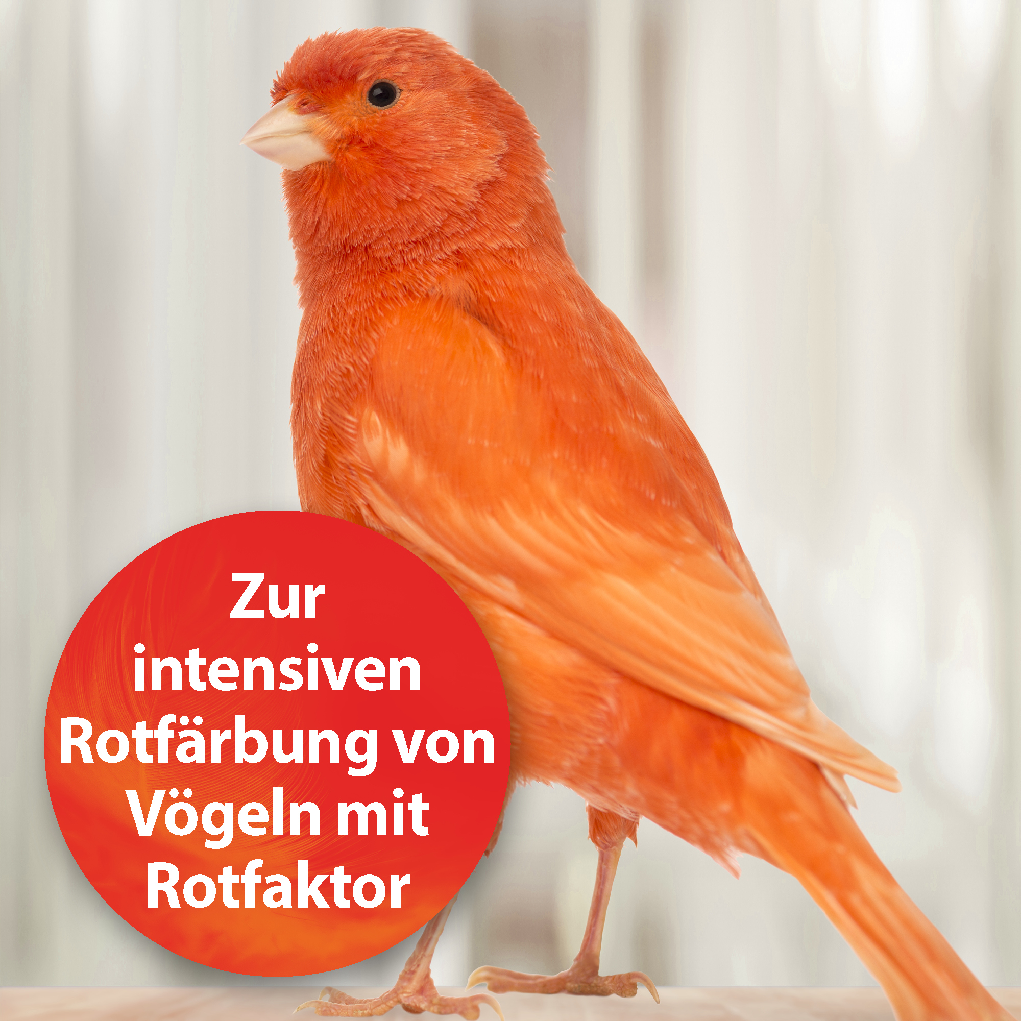 Quiko Ergänzungsfutter Quiko Intensiv Rot: Ergänzungsfutter für Ziervögel mit Rotfaktor