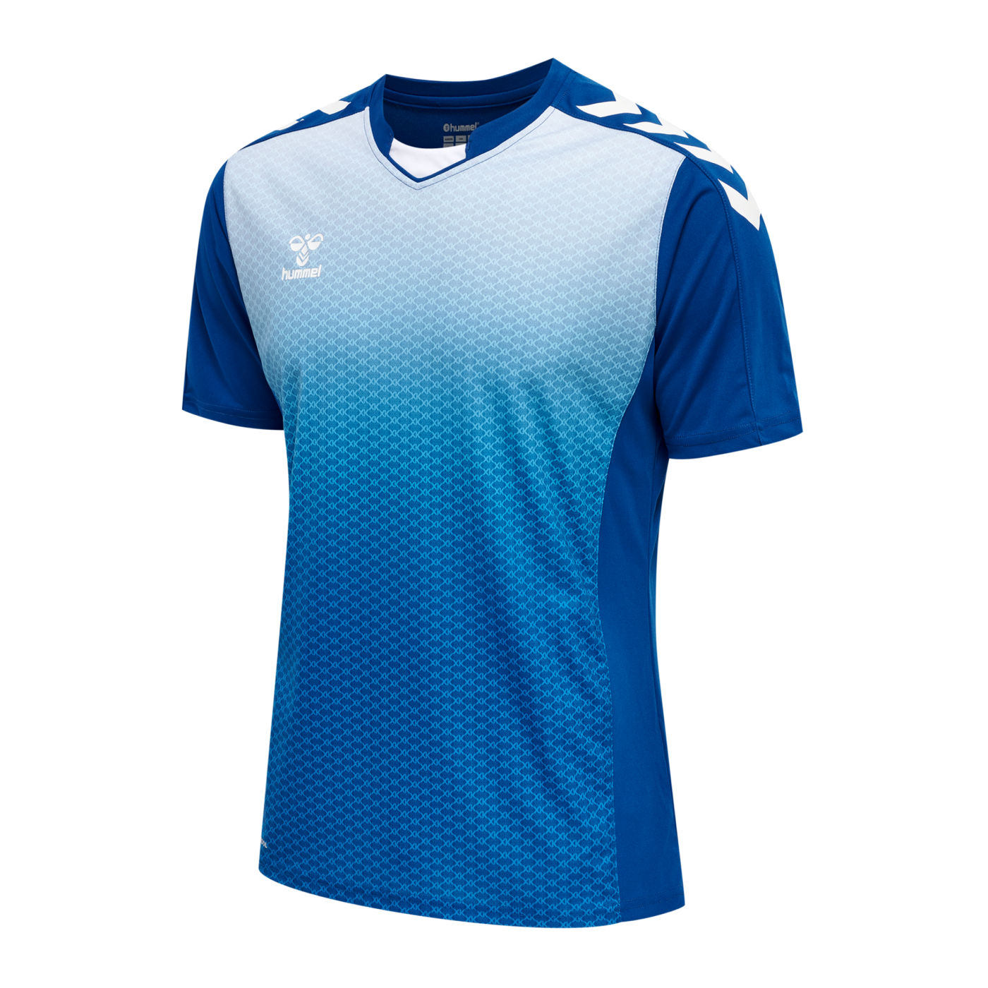 Hummel hmlCORE XK Sublimation Trikot Blau F7045