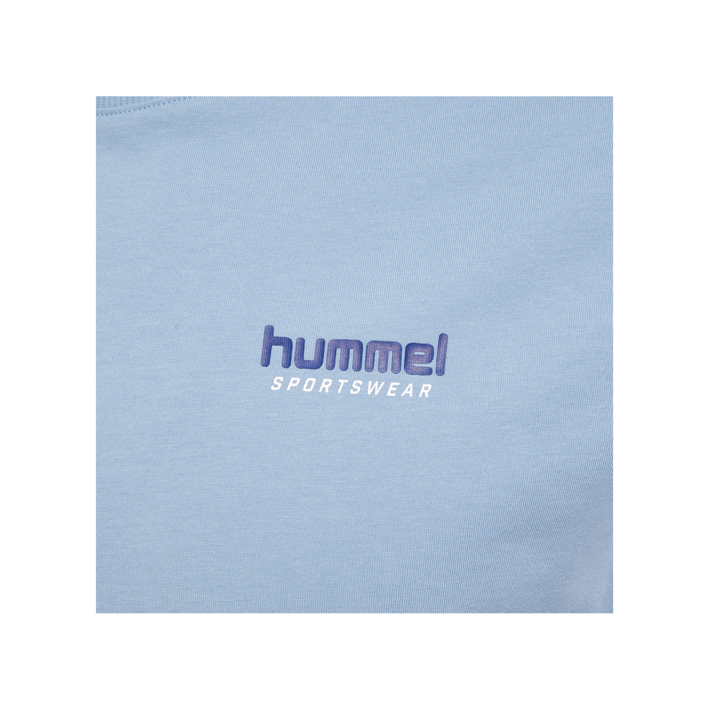 Hummel hmlLGC Gabe T-Shirt Blau F7763