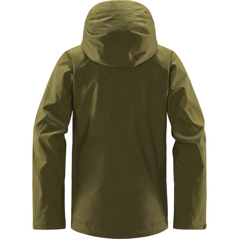 Haglöfs Astral GTX Jacket Hardshelljacke Damen