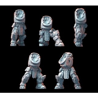 Bushi Prime Recon Strikers Bodies (5)