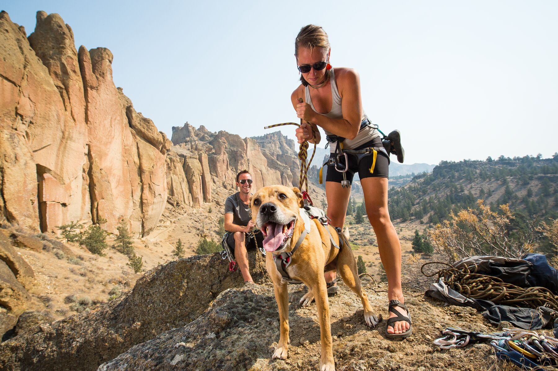 Ruffwear Hundegeschirre Ruffwear DoubleBack™ Geschirr S