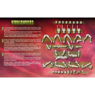 KST Red Hammer Troops