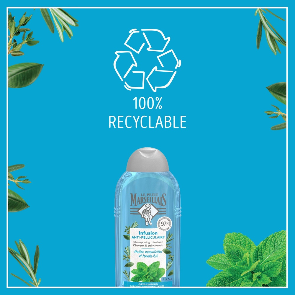 le petit marseillais Shampooing Anti-Pelliculaire Infusion Huiles Essentielles Et Menthe Bio - 250 ml Shampoing