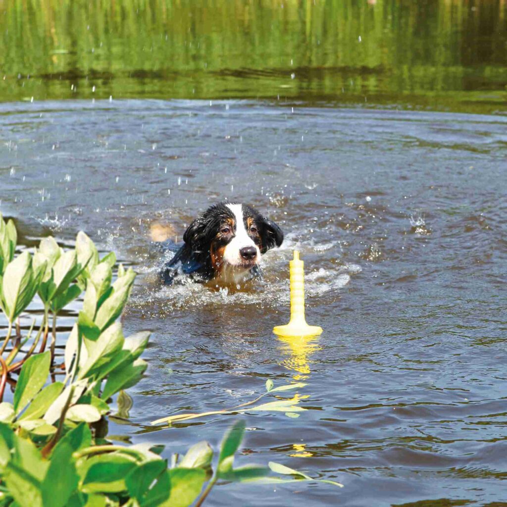 Trixie Wasserspielzeug Trixie Aqua Toy MOT®-Aqua