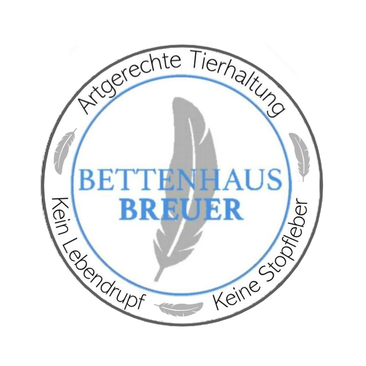 3-Kammer-Kopfkissen 3 Kammer Kopfkissen Luxus Kissen dick 1060g neue Daunen Klasse1 80x80, Bettenhaus Breuer, Füllung: Innenkammer 100% neue weiße Federn Klasse1, Außenkammer 60% neue weiße Daunen + 40% neue weiße Kleinstfederchen Klasse1, Bezug: 100