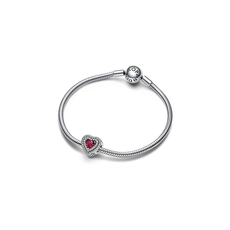 Pandora Charm Timeless
