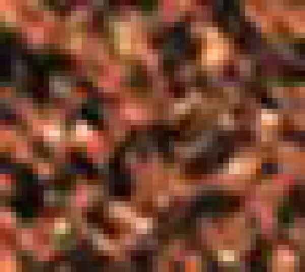 Stagecolor Cosmetics Lidschatten