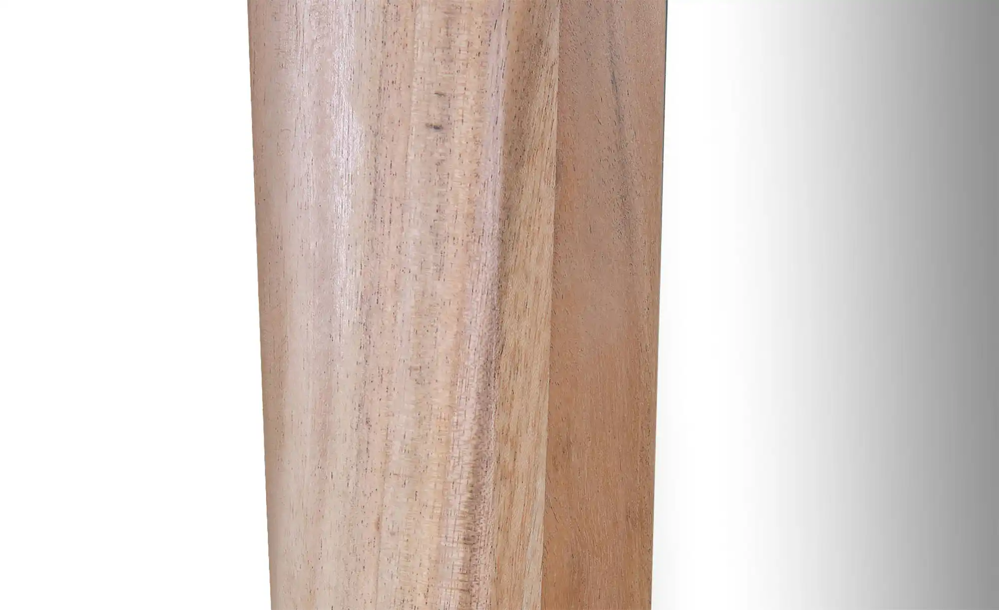 Spiegel 38 x 70 cm