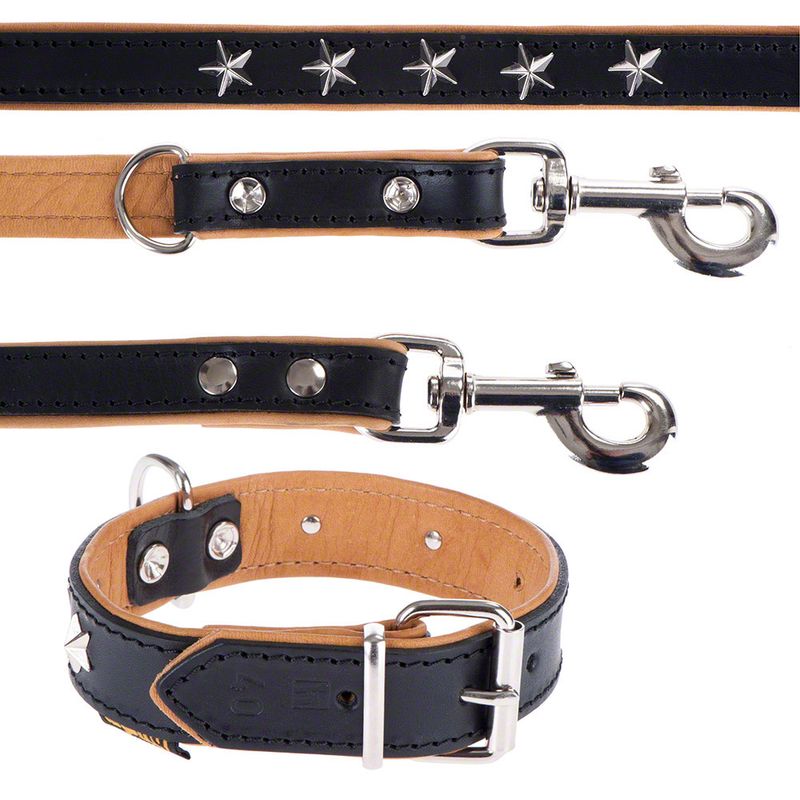 Sparset Heim Vorführleine + Lederhalsband Stars % bei bitiba.de