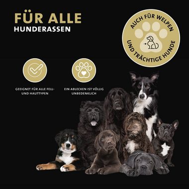 Peticare Insektenspray petDog Health 2108 - Ohrmilben, Ohrräude Lotion für Hunde, 50 ml