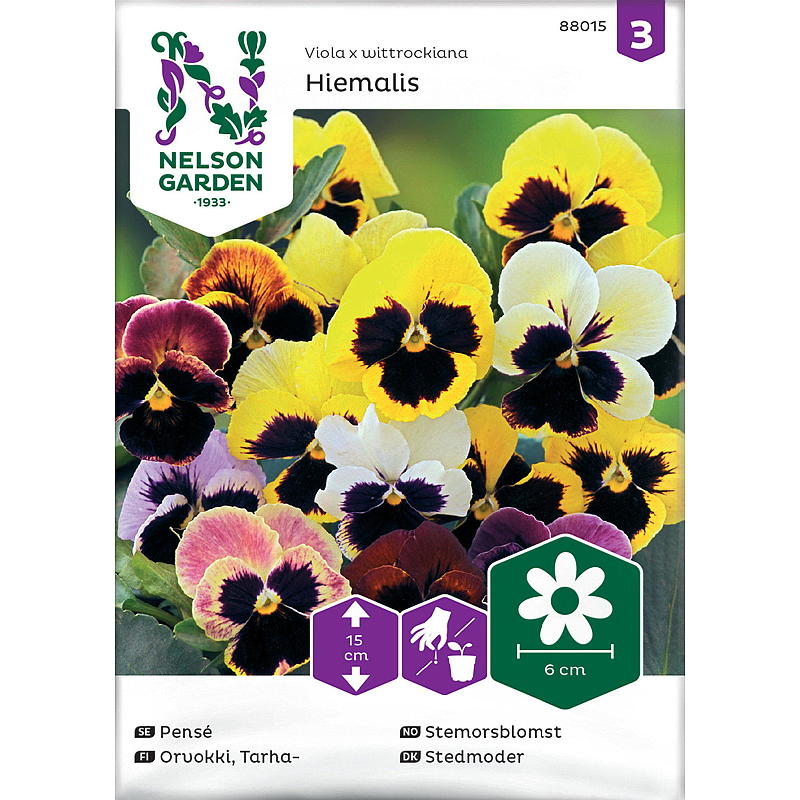Nelson garden Frø Stemorsblomst Hiemalis, Tidlig, bl.farg