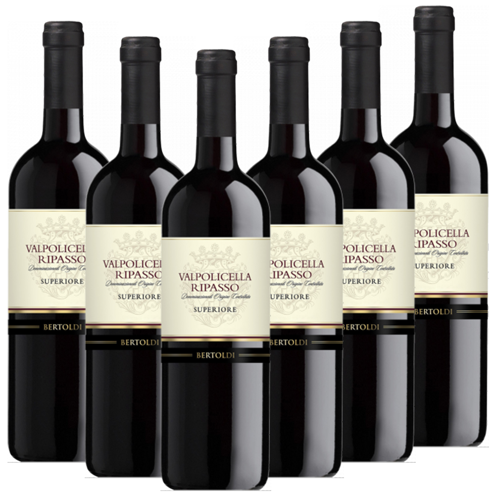 Bertoldi Valpolicella Ripasso Superiore DOC Bertoldi Italien  trocken - 6er Karton