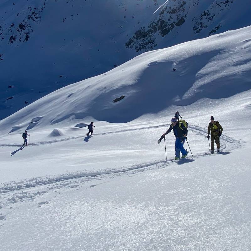 Erlebnis Freeride mit Guide Tour