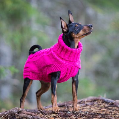 Rukka® Hundepullover Wooly, himbeer