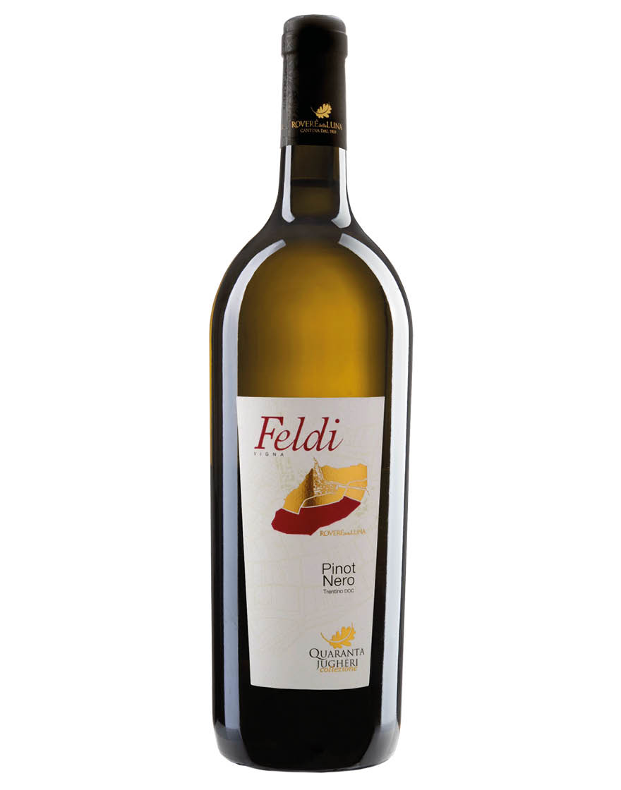 Trentino Riserva Pinot Nero DOC Quaranta Jugheri Vigna Feldi 2018 Roveré della Luna 0,75 ℓ
