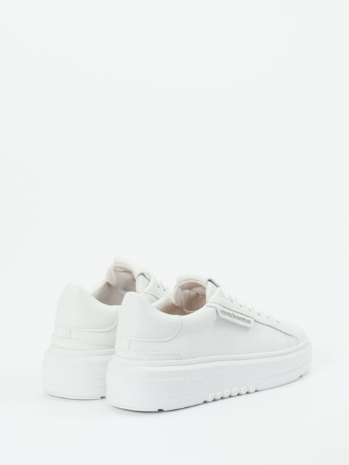 Sneaker-16637990281 Kennel & Schmenger