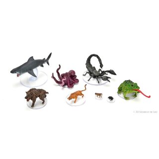 D&D Icons of the Realms: Miniaturen vorbemalt Wild Shape & Polymorph Set 1