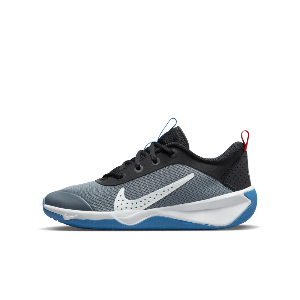 Nike Omni Multi Court DM9027-006 / grau