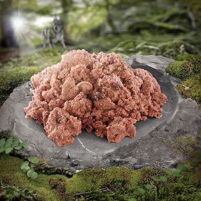 Wolf of Wilderness Adult 6 x 400 g - Single Protein