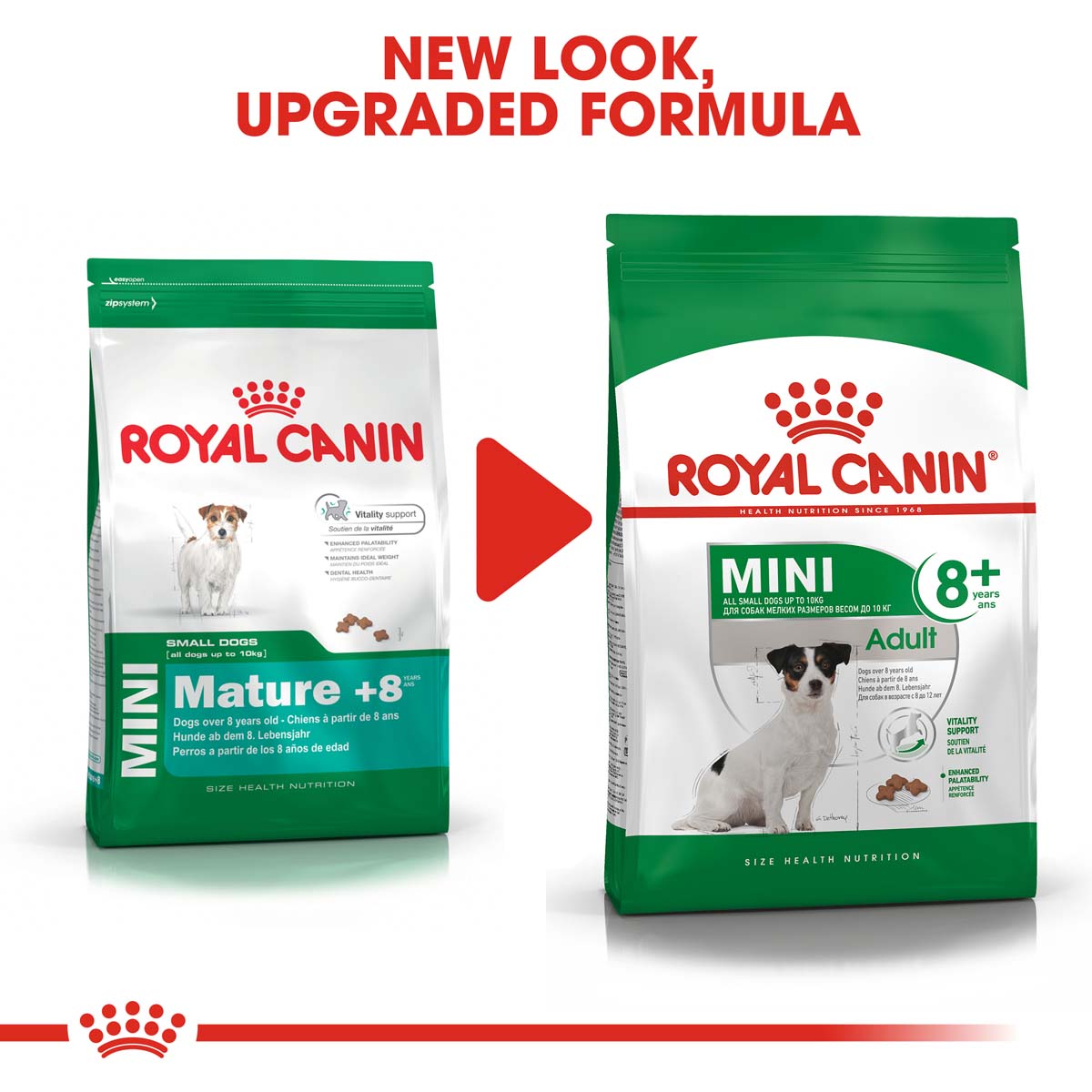 Royal Canin Mini Adult 8+ 2x8kg günstig kaufen bei ZooRoyal