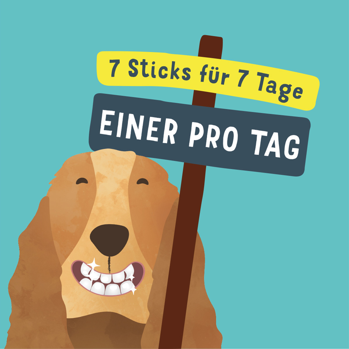 Edgard & Cooper Doggy Dental Erdbeere/Minze S kaufen bei ZooRoyal