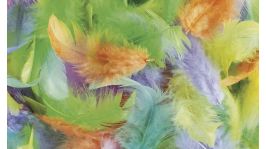 Rayher Federmischung 3-10 cm - 10 g - 6 Farben 10 g