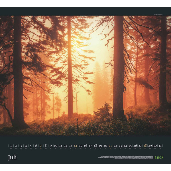 GEO KALENDER: SEHNSUCHT WALD 2024 - WAND-KALENDER - Kalender