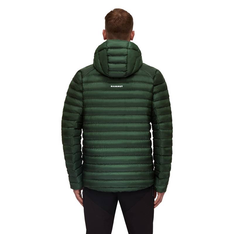 Mammut Albula Hooded Kunstfaserjacke Herren