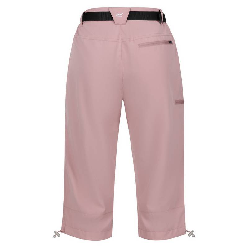 Regatta Xert Capri Wanderhose Damen