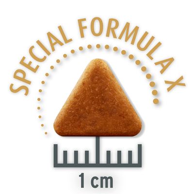 10 + 2 kg gratis! 12 kg Concept for Life für Katzen im Bonusbag