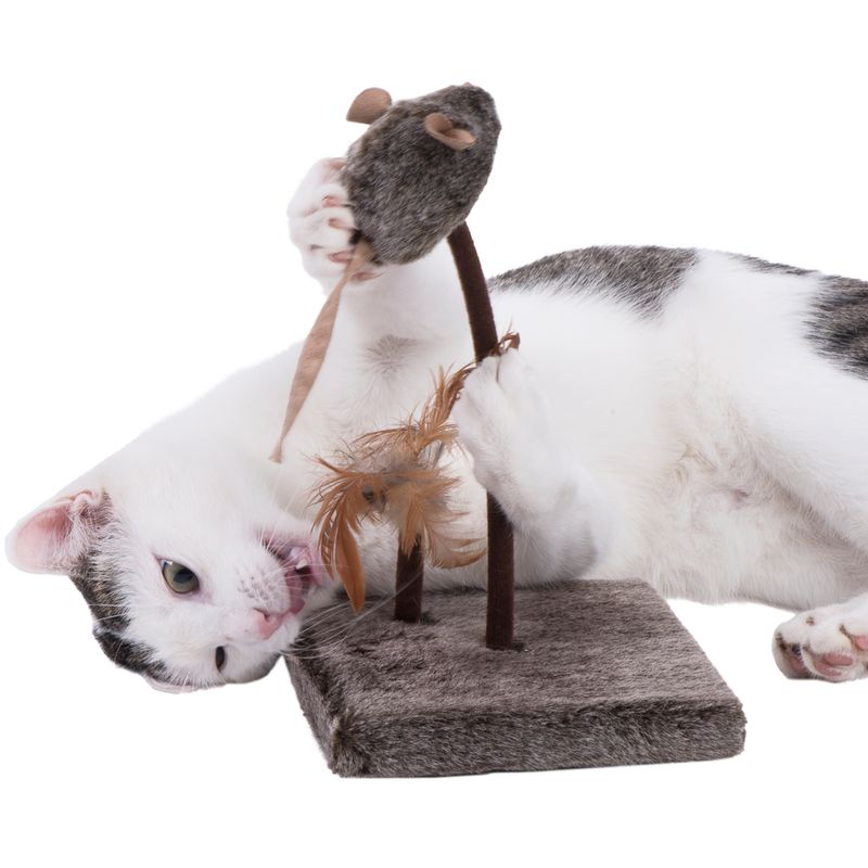 Katzenspielbrett Wild Mouse mit Sound und LED zu TOP-Preisen