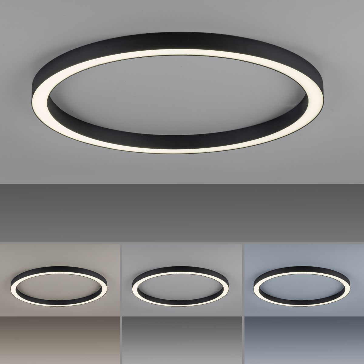 Paul Neuhaus LED Deckenleuchte Pure Lines schwarz Ø 70 cm