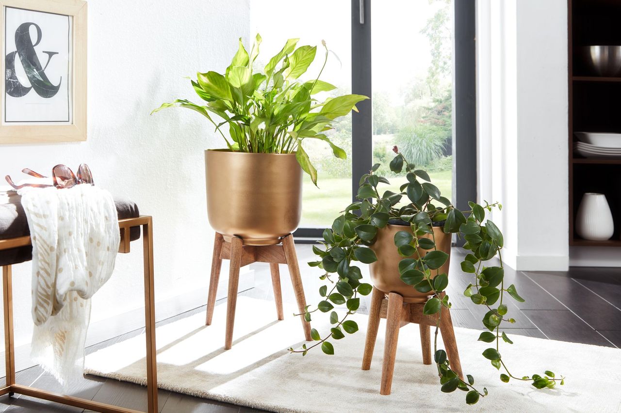Skyport WOHNLING Blumentopf 2er Set Metall Holz Pflanzenkübel Gold Rund Pflanzgefäß