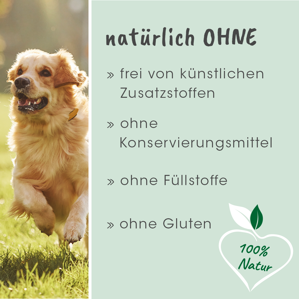 cdVet Ergänzungsfutter & Aufzucht cdVet DurchfallStopp 150 g